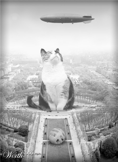 Photoshop Design by dcecil