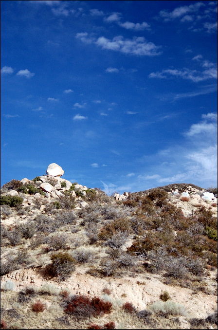 Photography by tlovesd for DesignCrowd (Community Contests) | Design #9002553