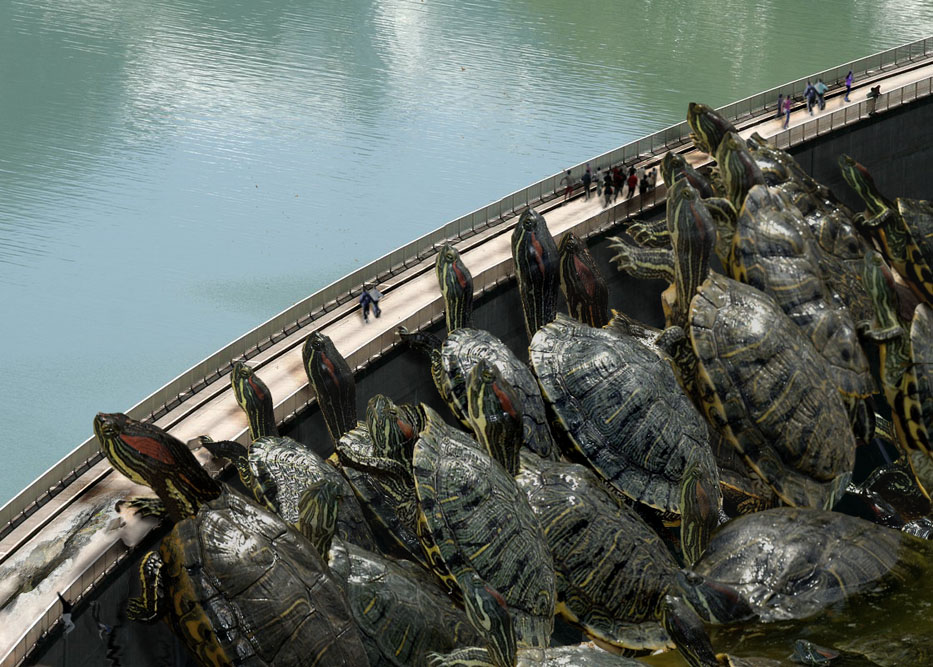 Photoshop Design by ariel9 for DesignCrowd (Community Contests) | Design #9005428