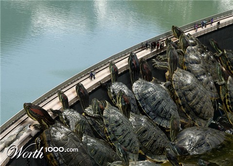 Photoshop Design by ariel9