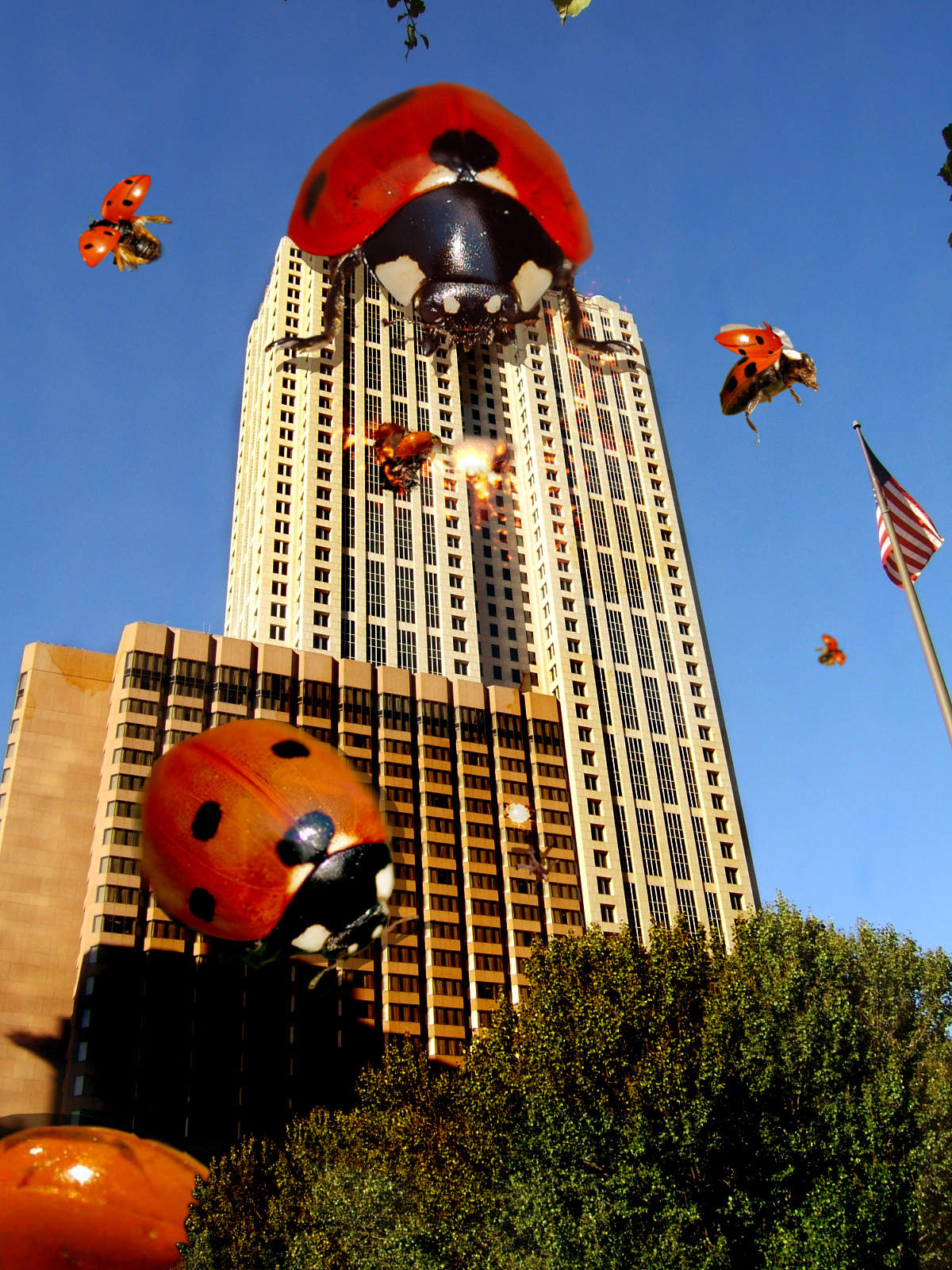 Photoshop-Design von MalibuxoRain für DesignCrowd (Community Contests) | Design #9005432