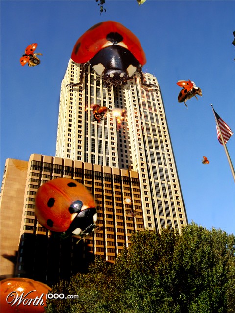 Photoshop Design by MalibuxoRain