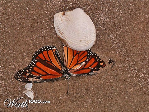 Photography by Lmorrow57