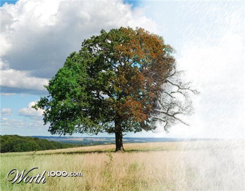 Photoshop Design by JDP2006