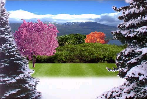 Photoshop Design by PeterAAAWelch for DesignCrowd (Community Contests) | Design #9000590