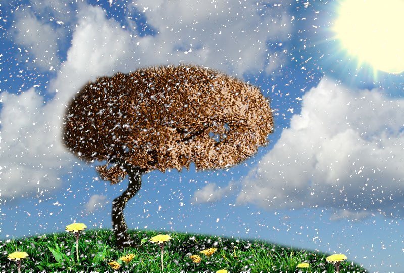 Photoshop-Design von ShadyAlaska für DesignCrowd (Community Contests) | Design #9000586