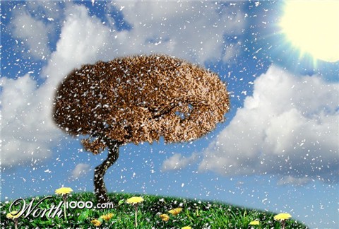 Photoshop Design by ShadyAlaska