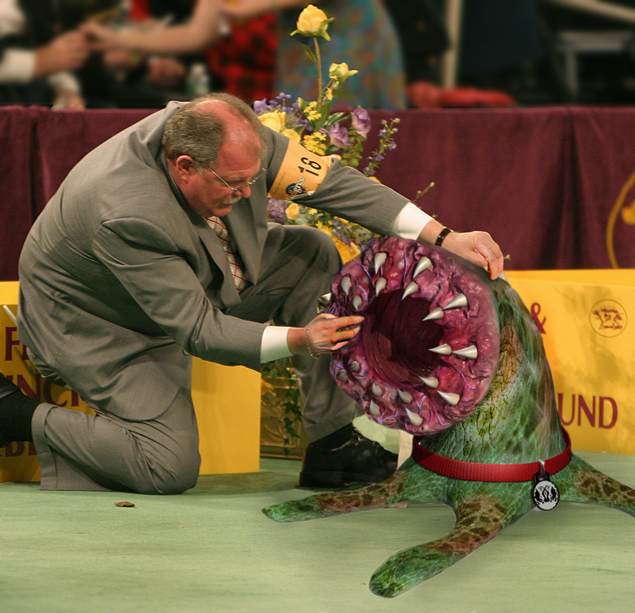 Photoshop Design by iDadalex for DesignCrowd (Community Contests) | Design #9005361