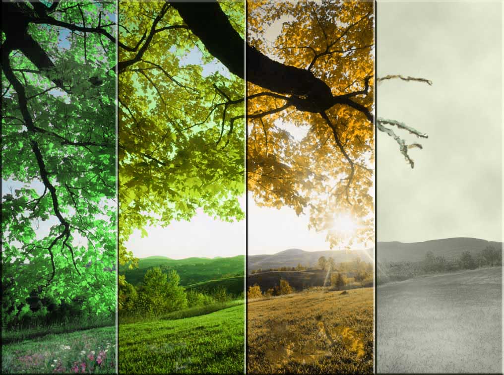 Design Photoshop par cedric10 pour DesignCrowd (Community Contests) | Design #9000581