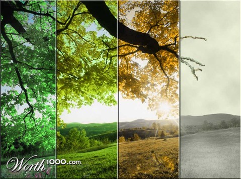 Photoshop Design by cedric10