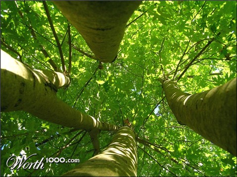 Photography by ercolano