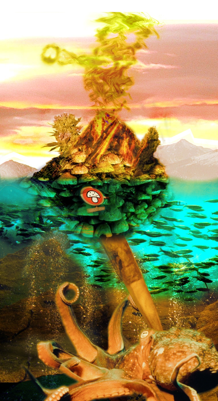 Photoshop Design by fcksjiht for DesignCrowd (Community Contests) | Design #8999727