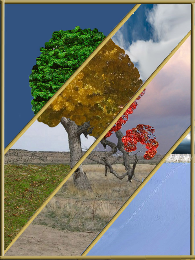 Photoshop Design by blueberr59 for DesignCrowd (Community Contests) | Design #9000626