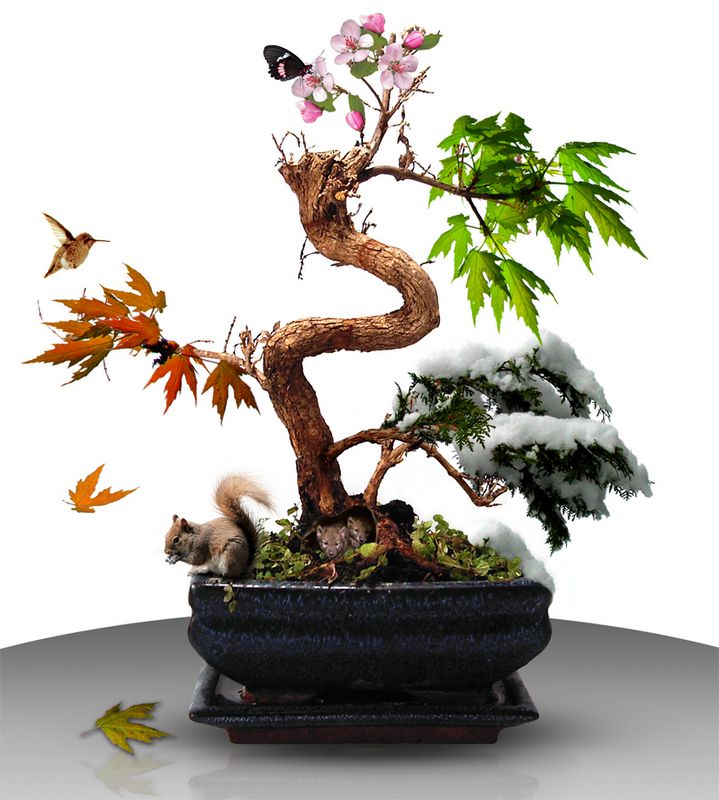 Photoshop Design by Mikjegger for DesignCrowd (Community Contests) | Design #9000642