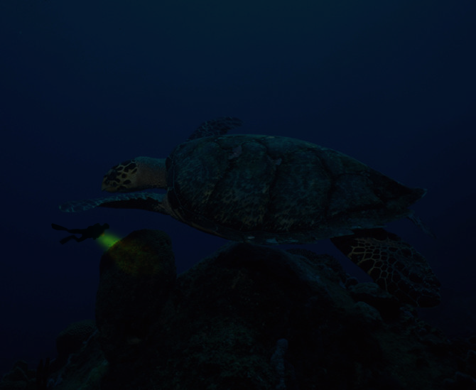 Diseño de Photoshop por Chasse para DesignCrowd (Community Contests) | Diseño #8999736