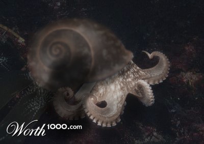 Photoshop Design by GeneralleyCool