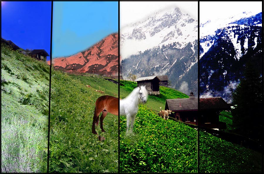 Diseño de Photoshop por salmanp para DesignCrowd (Community Contests) | Diseño #9000631