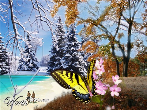 Photoshop Design by bennyandthemets