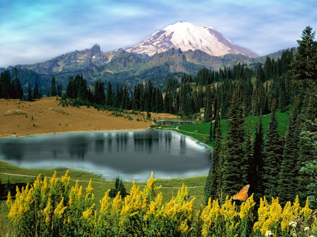 Diseño de Photoshop por Loki31 para DesignCrowd (Community Contests) | Diseño #9000608