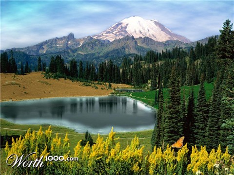 Photoshop Design by Loki31