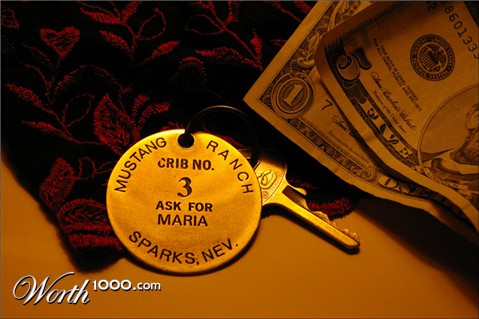 Photography by darlingmkt