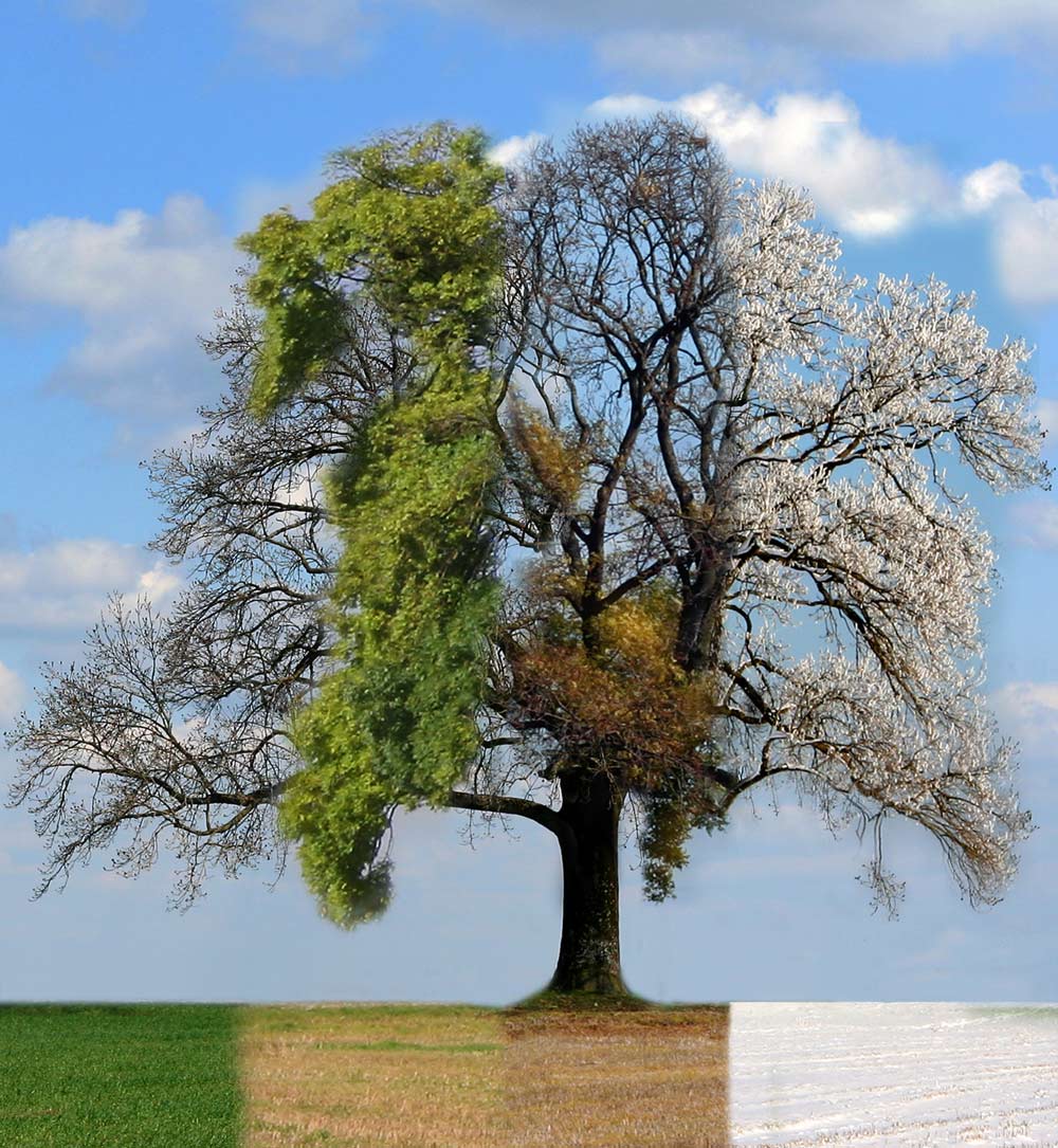 Photoshop Design by moovet for DesignCrowd (Community Contests) | Design #9000607