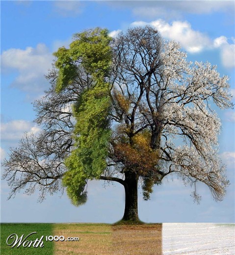 Photoshop Design by moovet