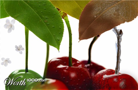 Photoshop Design by Siramad