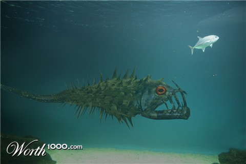 Photoshop Design by visavision