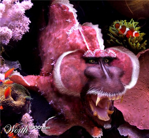 Photoshop Design by ariel9