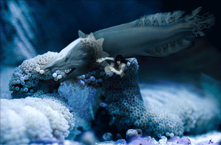 Photoshop Design by overflowed for DesignCrowd (Community Contests) | Design #8999796