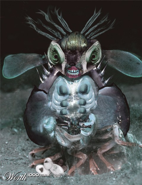 Photoshop Design by Lawstrike