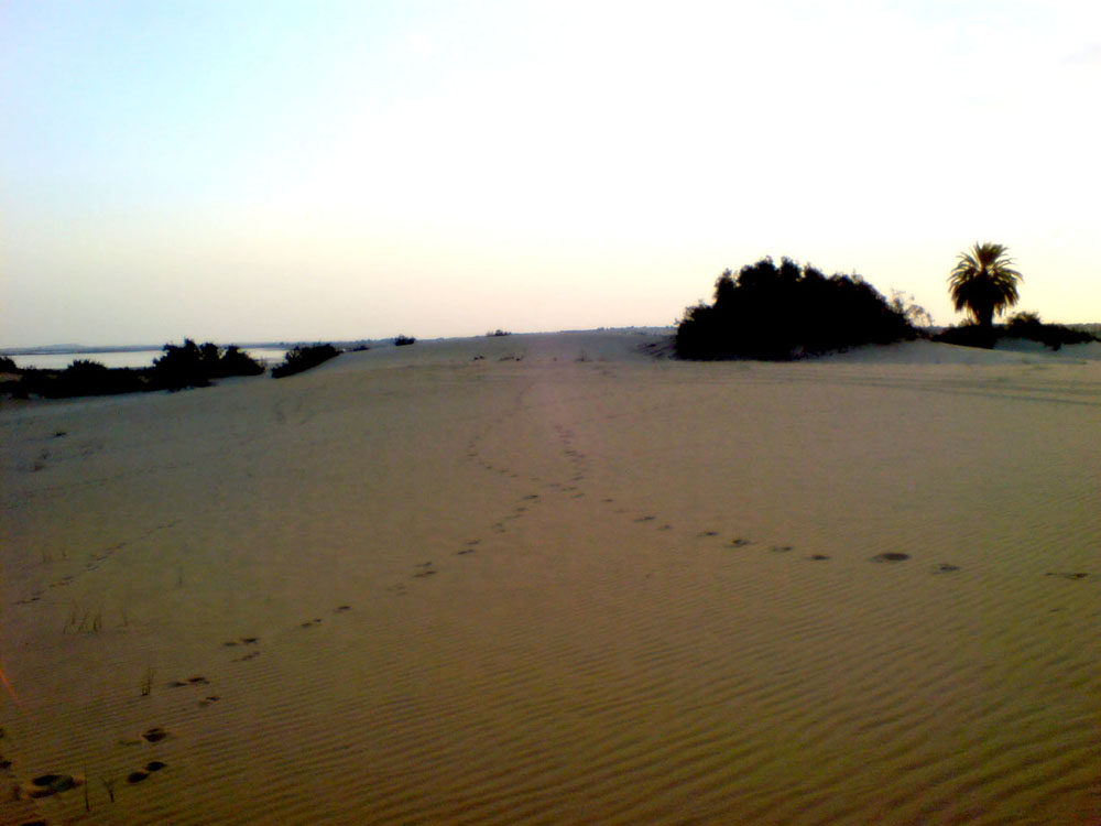 Fotografie von Eftekhar für DesignCrowd (Community Contests) | Design #8998948