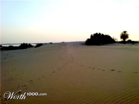 Photography by Eftekhar