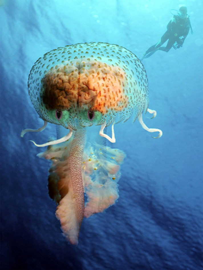 Photoshop Design by resquin for DesignCrowd (Community Contests) | Design #8999769