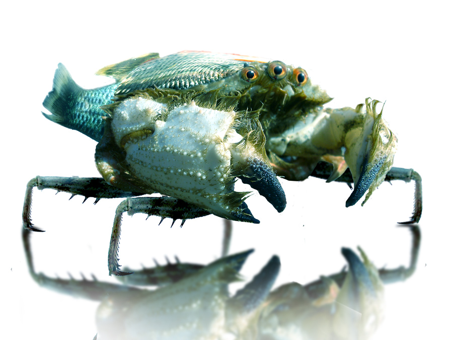 Diseño de Photoshop por ArchaicArtist para DesignCrowd (Community Contests) | Diseño #8999896