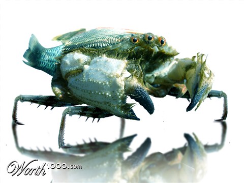 Photoshop Design by ArchaicArtist