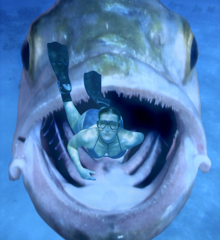 Photoshop Design by corwin1 for DesignCrowd (Community Contests) | Design #8999843