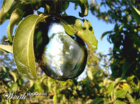 Photoshop Design by kitryne