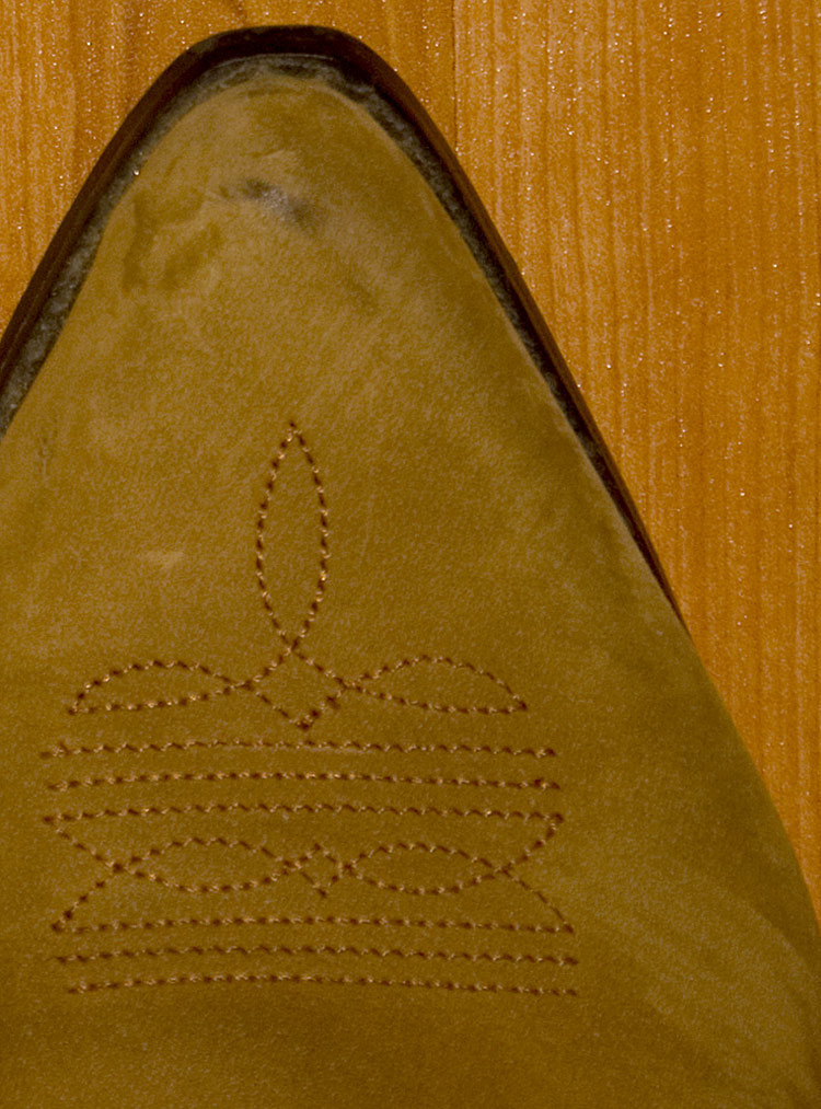 Photography by cshutt for DesignCrowd (Community Contests) | Design #8999978