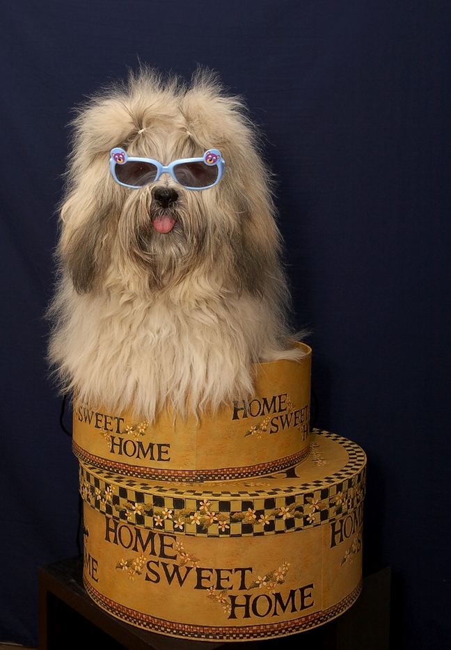 Photoshop Design by bobike for DesignCrowd (Community Contests) | Design #9004357