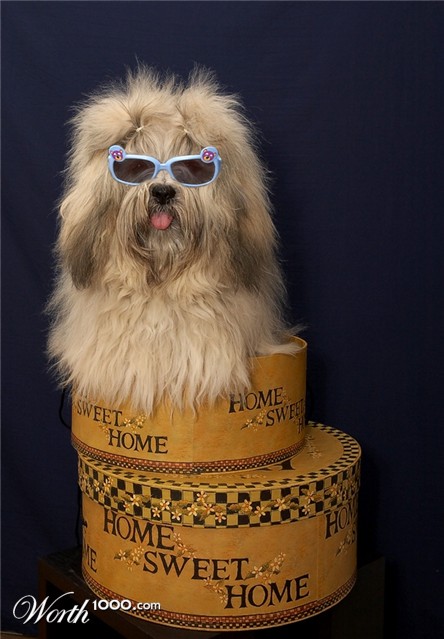 Photoshop Design by bobike