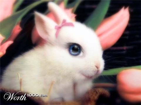 Photoshop Design by kitryne