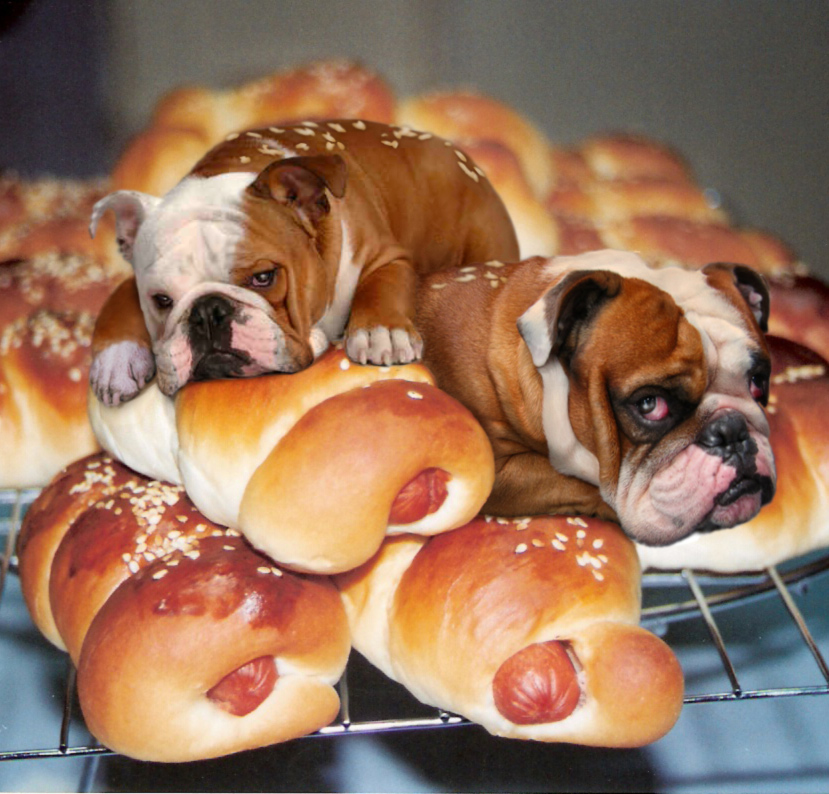 Diseño de Photoshop por caveatscoti para DesignCrowd (Community Contests) | Diseño #9004398