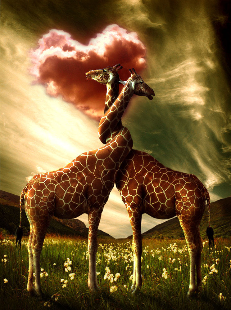 Diseño de Photoshop por bosss1 para DesignCrowd (Community Contests) | Diseño #9004372