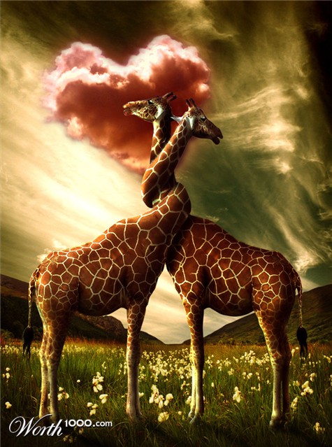 Photoshop Design by bosss1