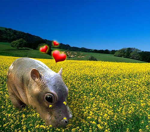 Photoshop-Design von Zeidertron für DesignCrowd (Community Contests) | Design #9004429