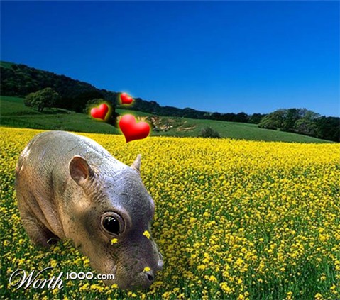 Photoshop Design by Zeidertron