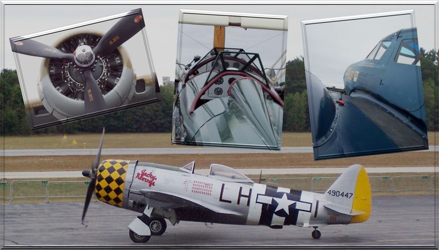 Photography by wilowwhysp for DesignCrowd (Community Contests) | Design #9000702