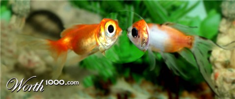 Photoshop Design by Sankrah